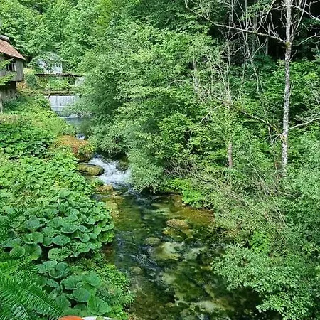 Izvor Cabranke Cabar