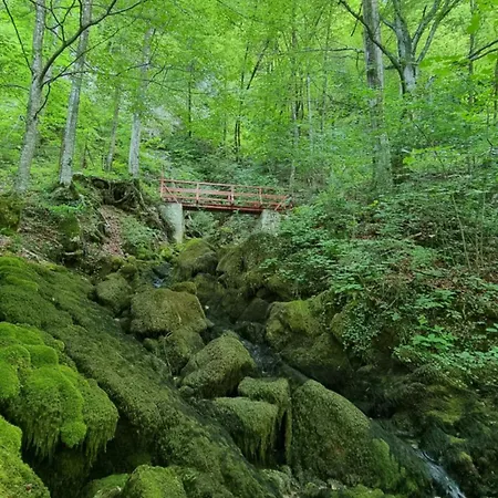 Izvor Cabranke