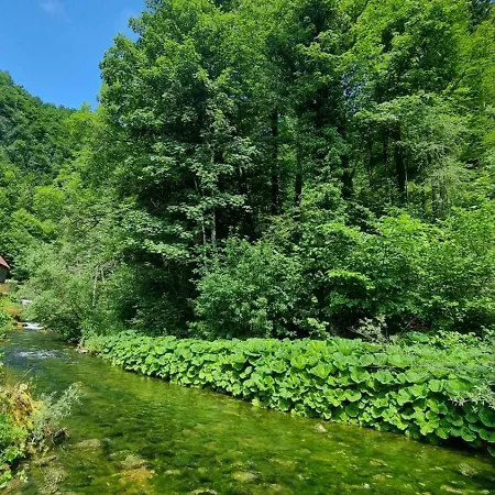 Izvor Cabranke Cabar