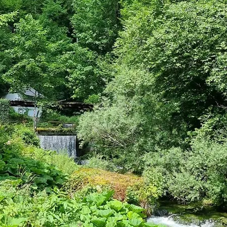 Villa Izvor Cabranke *