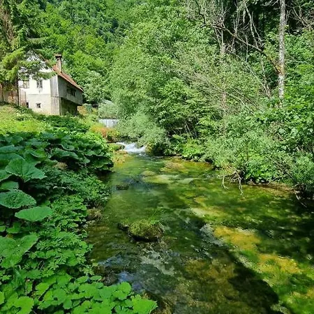 Izvor Cabranke Cabar